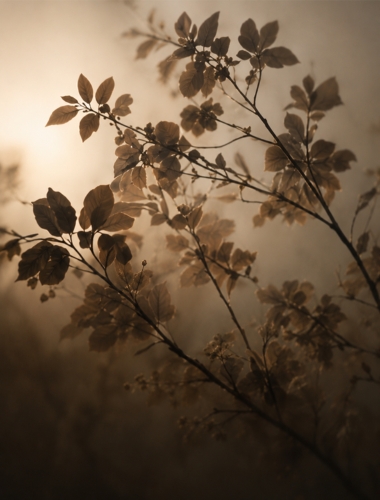 Elan bloom nature